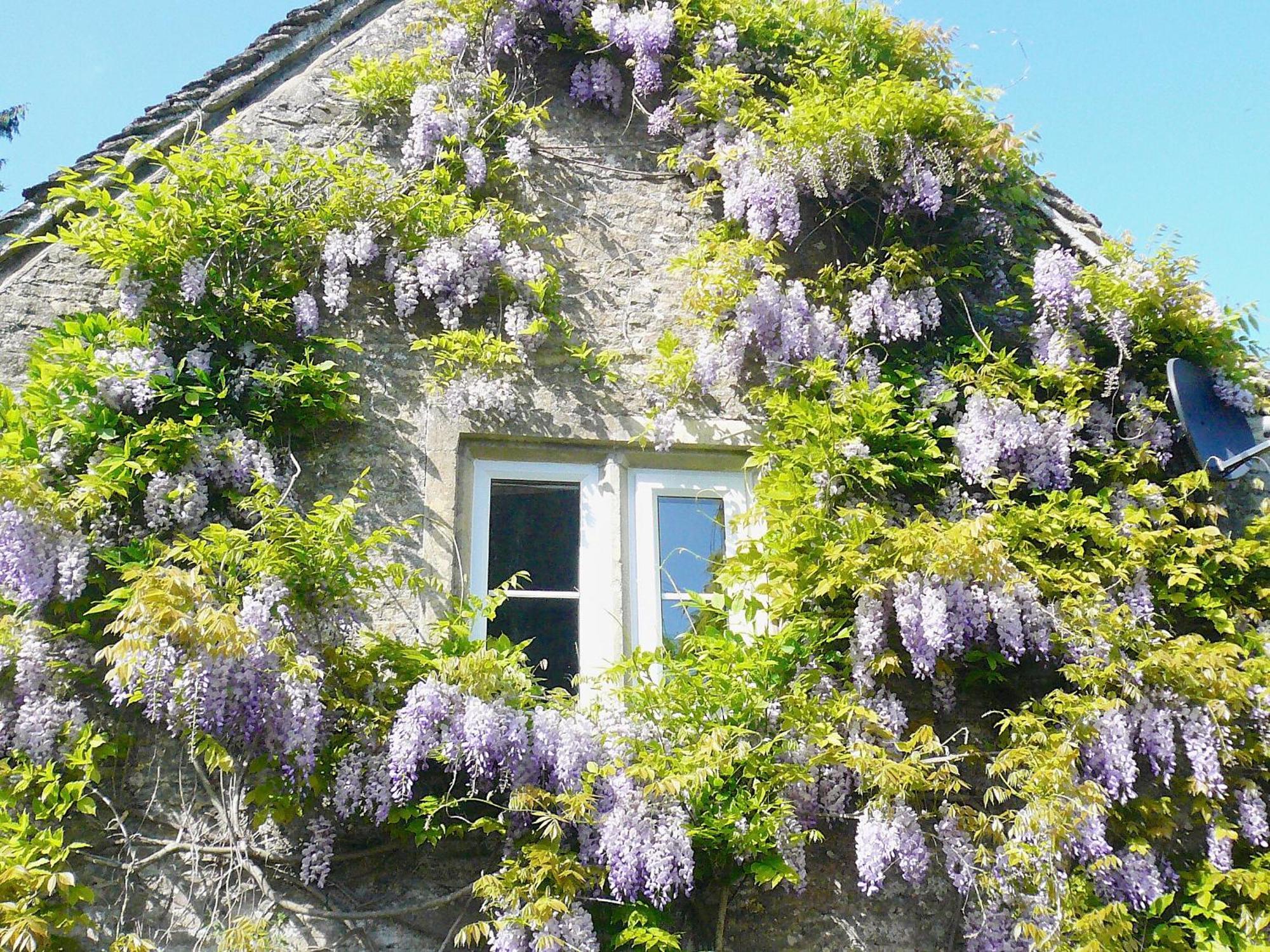 Ivy Cottage Chedworth Bagian luar foto